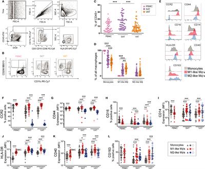 Subtype-Specific Surface Proteins on Adipose Tissue Macrophages and Their Association to Obesity-Induced Insulin Resistance